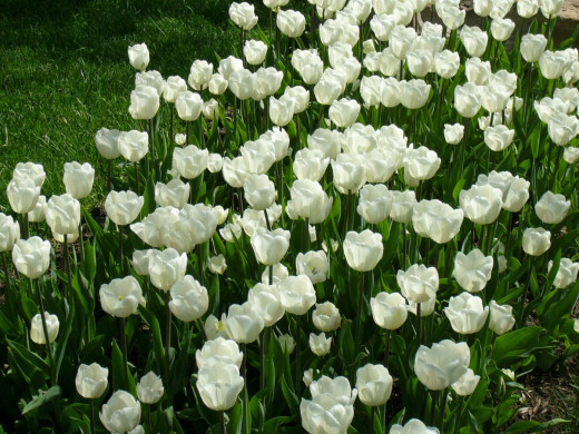 425401 (a): :1200x900